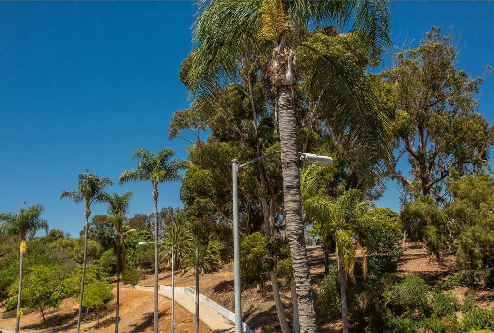 Cozy Studio Next To San Diego Dt And Balboa Park エクステリア 写真